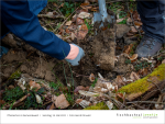 Folie13 - Pflanzaktion 2025 Fischbachtal kreativ.PNG