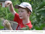 Fischbachtal kreativ - Gartenjahr mit Kindern am 26.07.2013 - Bild04.jpg