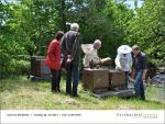 Fischbachtal kreativ - Rind um die Bienen 02-06.2013 - 09.jpg