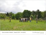 2014-07-05-Wasser-in-Fischbachtal-page-026.jpg