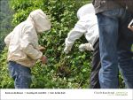 Fischbachtal kreativ - Rund um die Bienen 02.06.2013 - Bild07.jpg