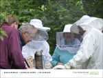 Fischbachtal kreativ - Rund um die Bienen 23.06.2013 - Bild08.jpg