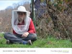 Rund um die Bienen 05 - Foto Achim Krell.jpg