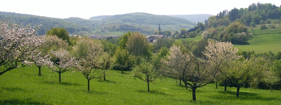 Vielfalt in Fischbachtal